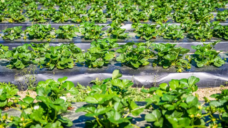 工业废水处理技术路线对比与选型指南：从达标排放到资源化利用