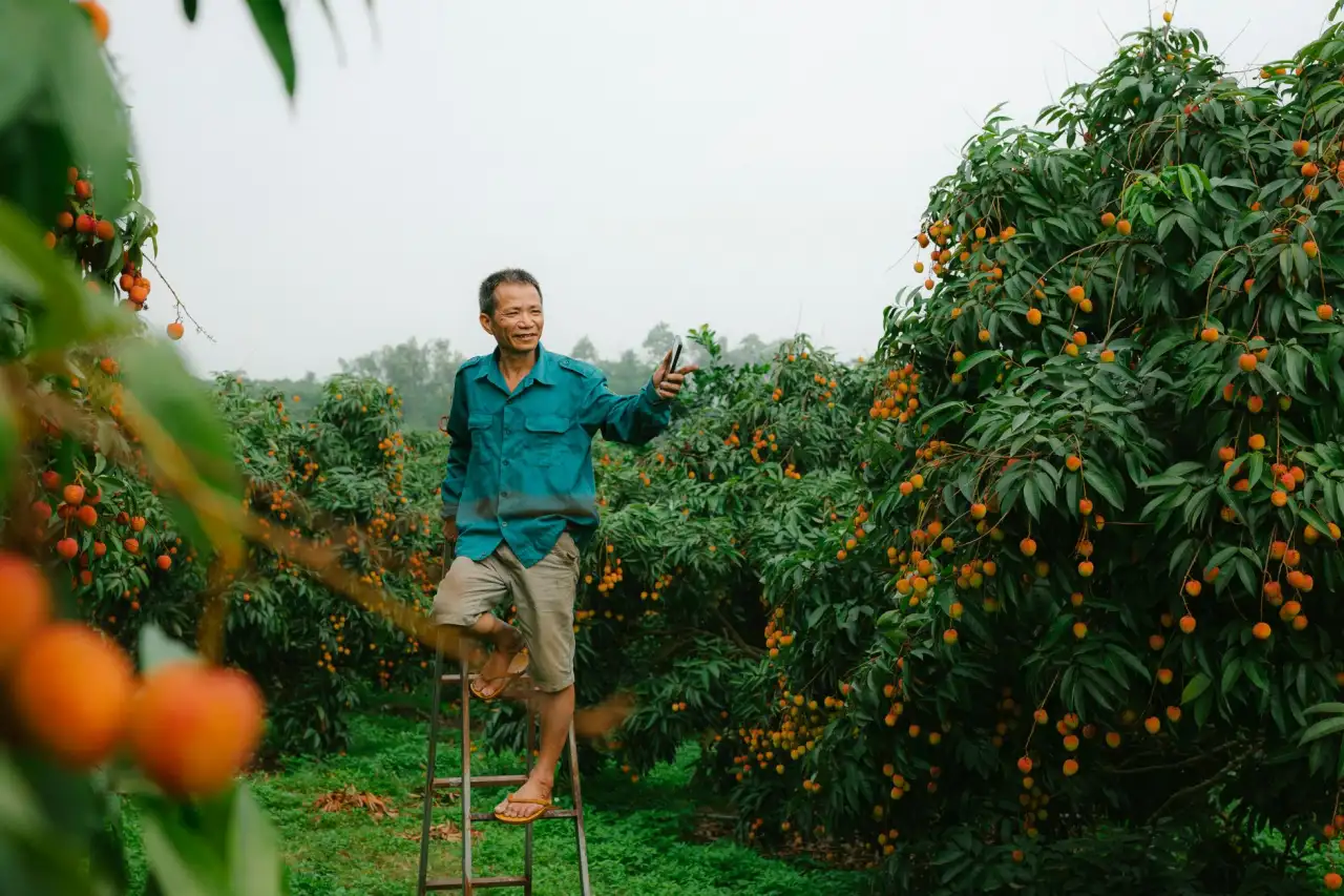工业循环水处理系统选型对比:常见工艺与适用场景分析