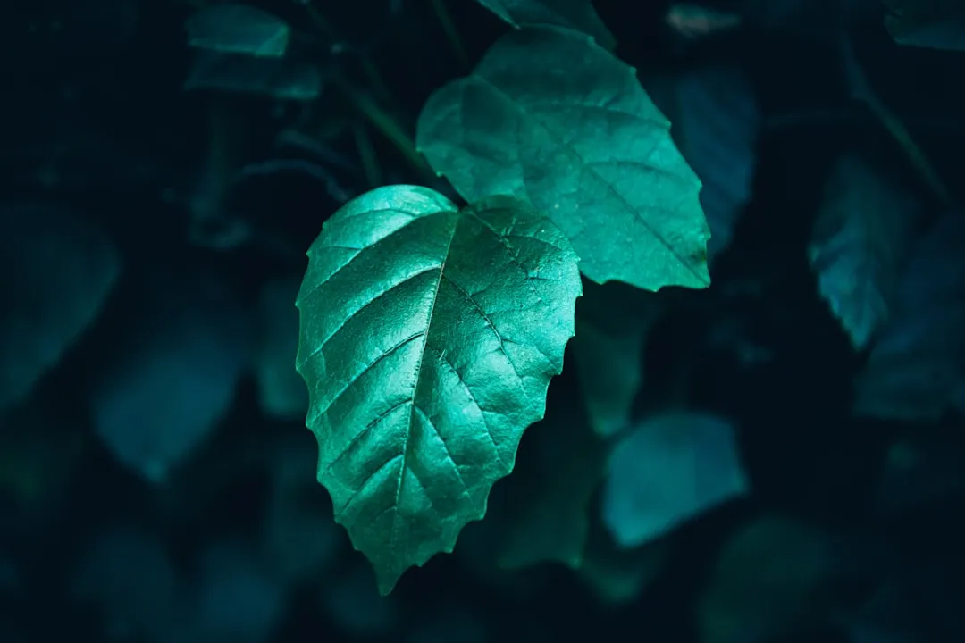 工业水处理系统膜污染成因分析与清洗维护技术要点解析